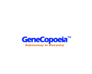 GeneCopoeia-NCBIƼ¡Ӧ